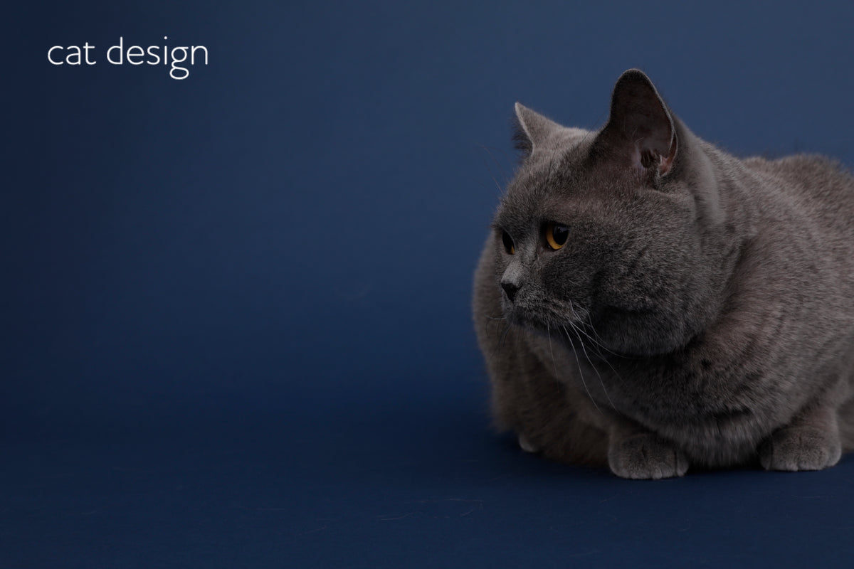 商品 – cat design®