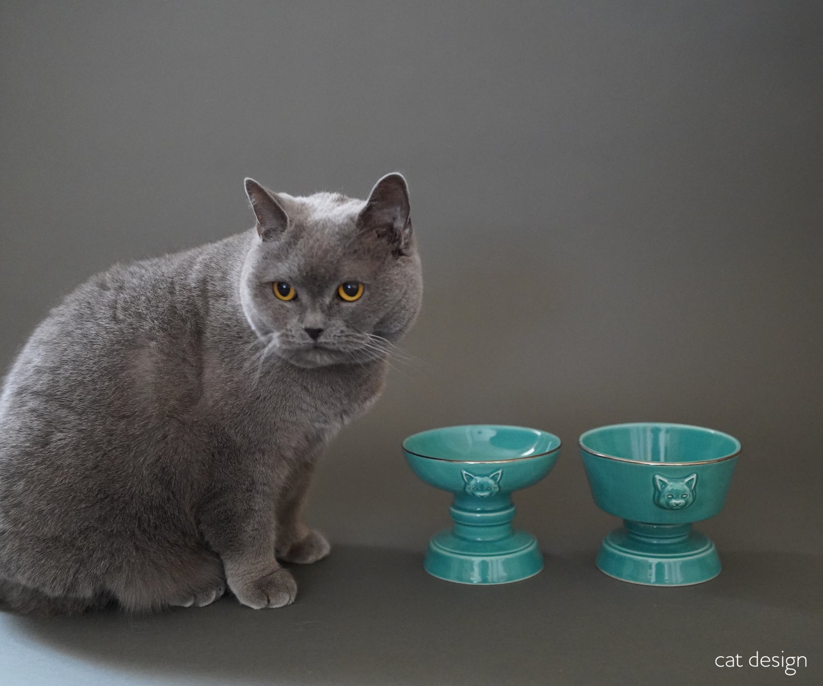 cat design　フードボウル/ウォーターボウル　SEIJI & SILVER