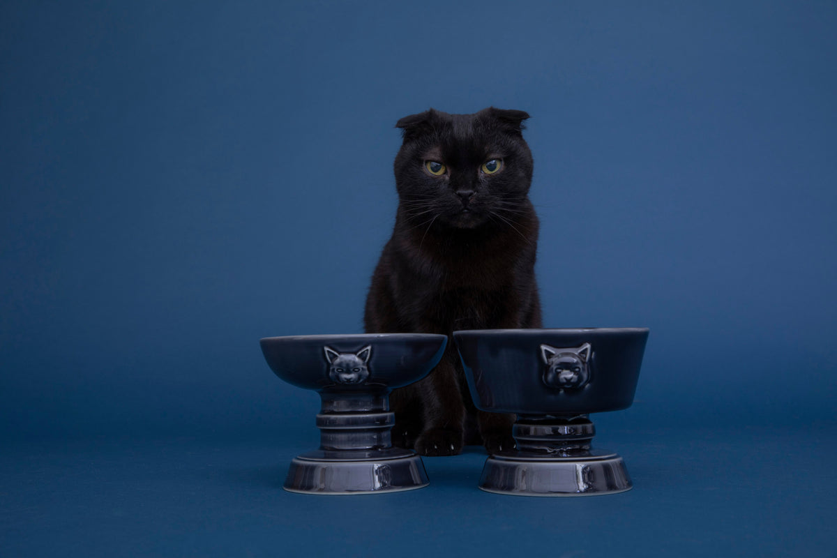 Outlet – cat design®